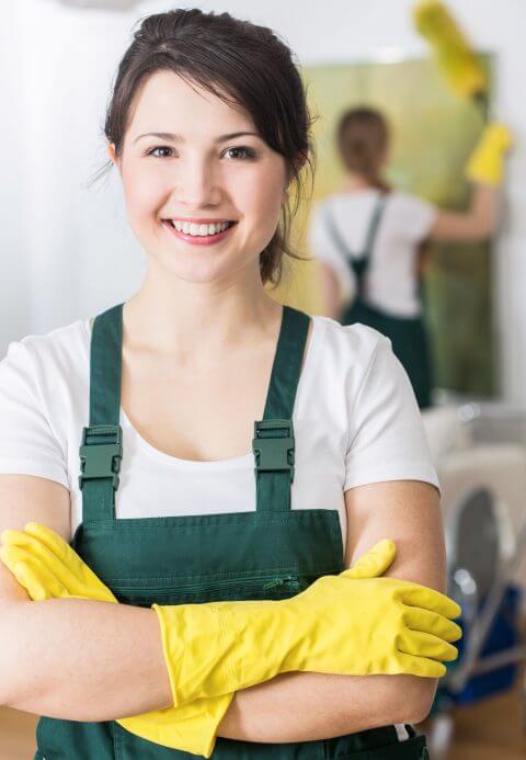 Aplicația Dust Busters